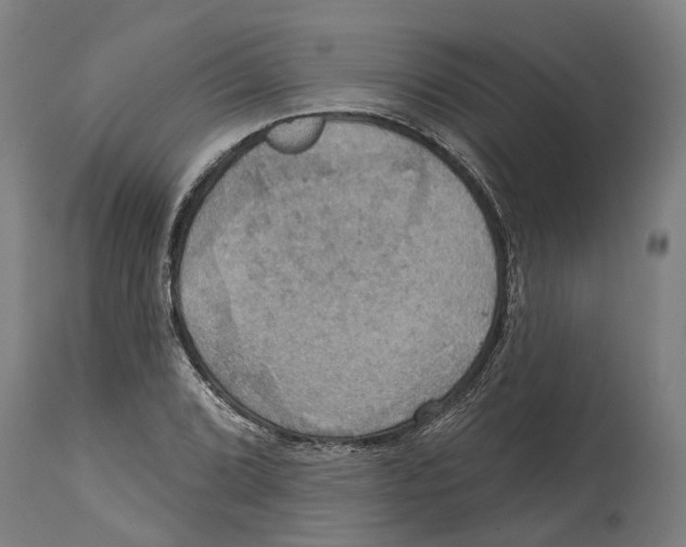 X0000114421072200911131446