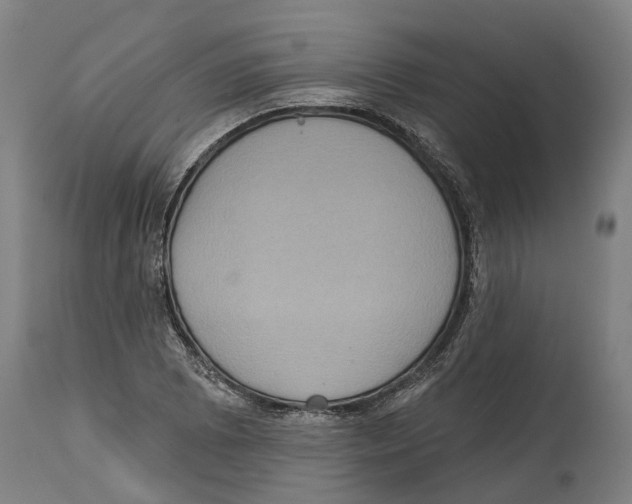 X0000114421073200911131446