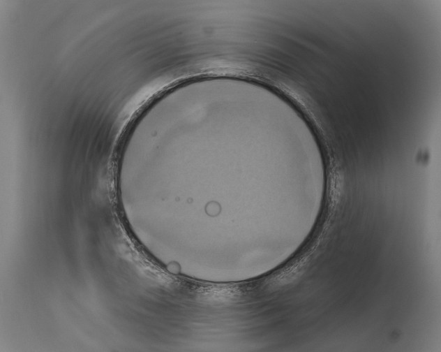 X0000114421074200911131446