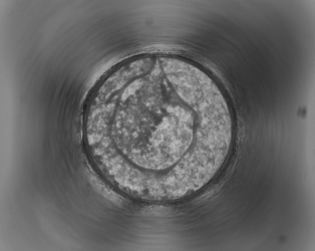 X0000114421075200911131446