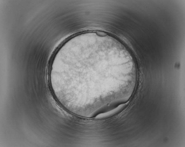 X0000114421076200911131446