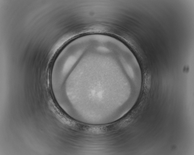 X0000114421078200911131446