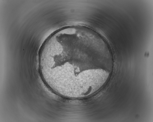 X0000114421079200911131446