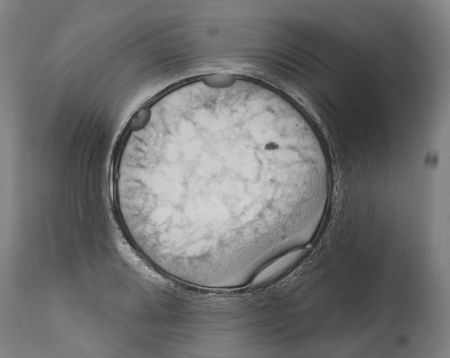 X0000114421080200911131446