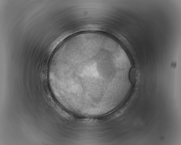 X0000114421081200911131446