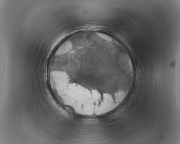 X0000114421083200911131445