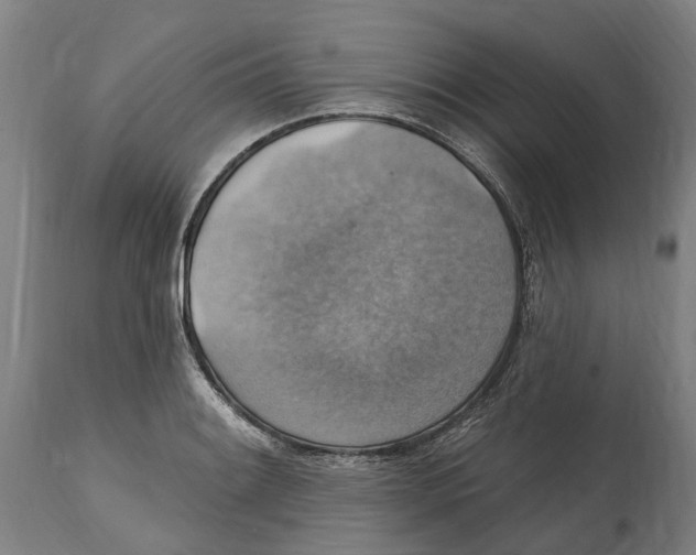 X0000114421084200911131445