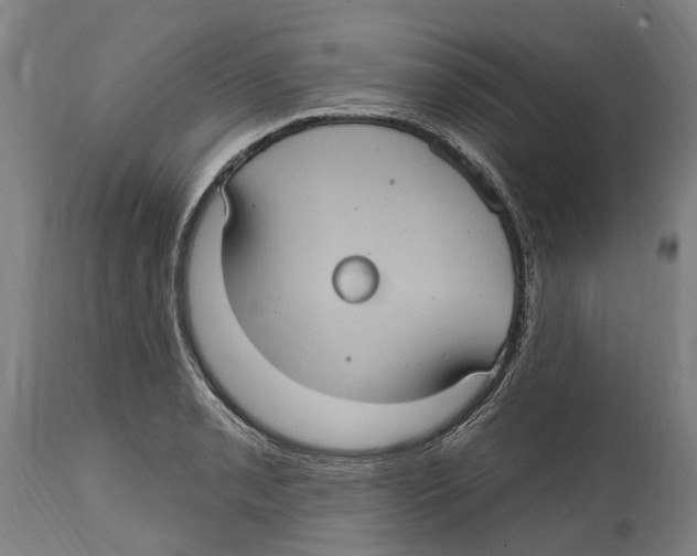 X0000114421085200911131445