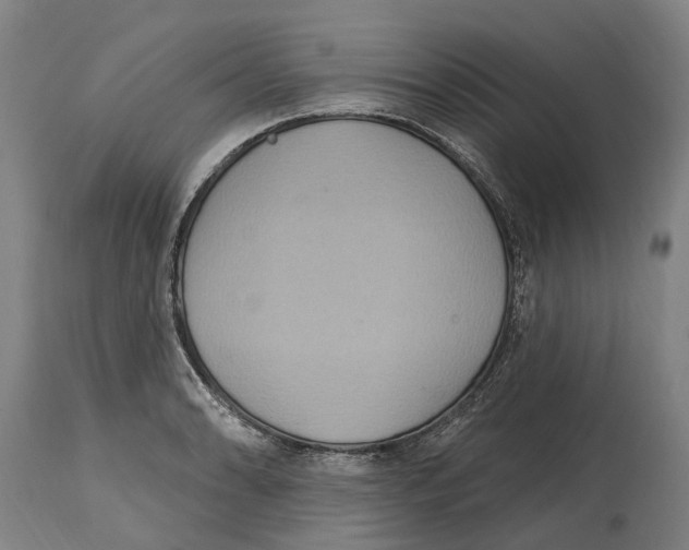 X0000114421086200911131445