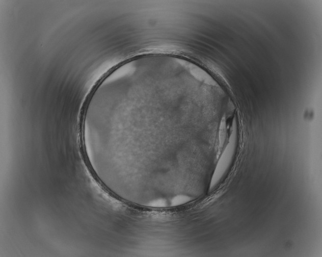 X0000114421087200911131445