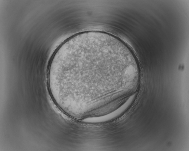 X0000114421088200911131445