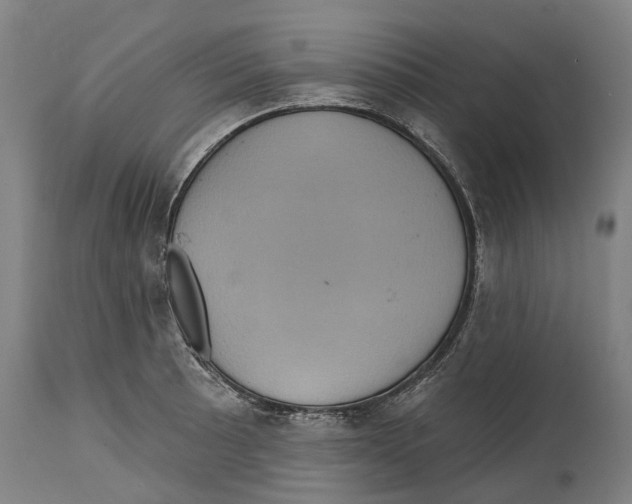 X0000114421089200911131445