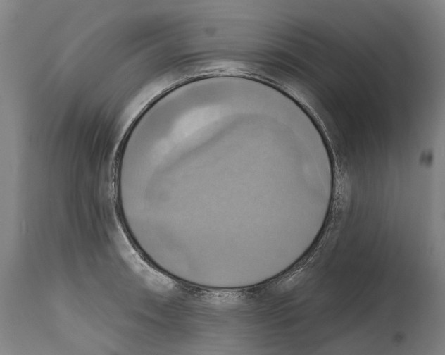 X0000114421090200911131445