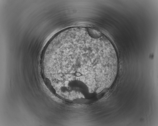 X0000114421091200911131445