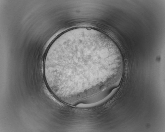 X0000114421092200911131445