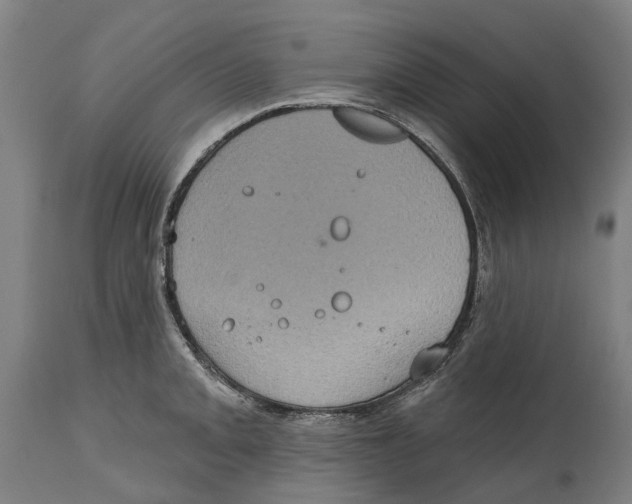 X0000114421093200911131445