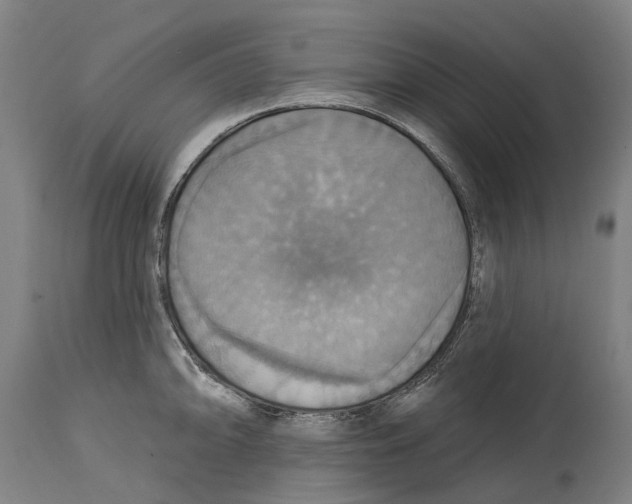 X0000114421094200911131445