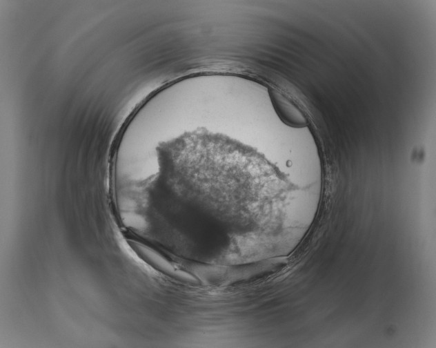 X0000114421095200911131445