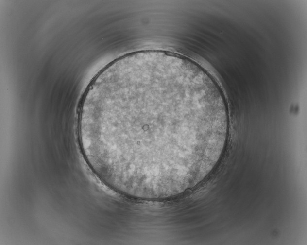 X0000114421096200911131445