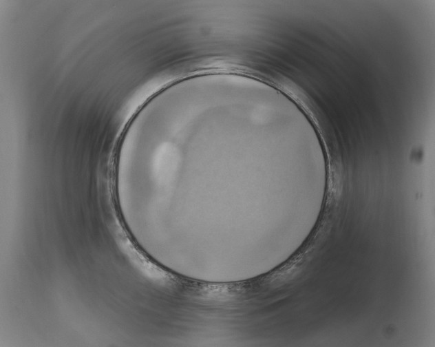 X0000114421098200911131445