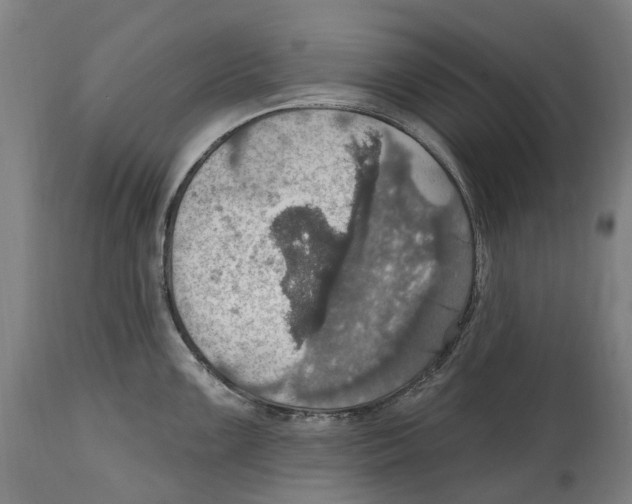 X0000114421099200911131445