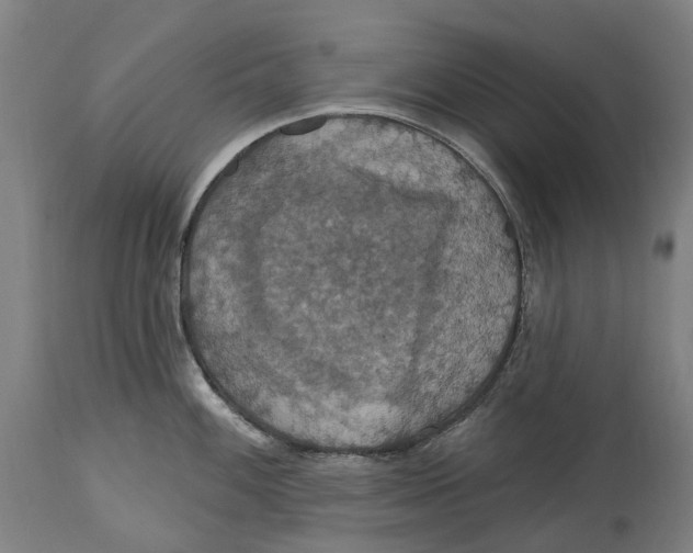 X0000114421100200911131445