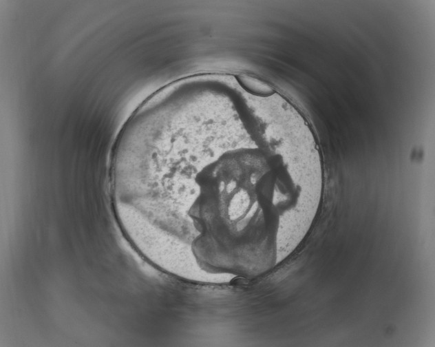 X0000114421103200911131445