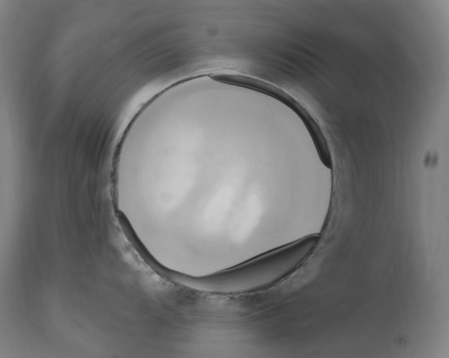 X0000114421104200911131445