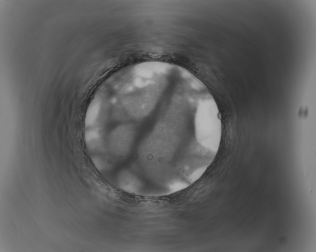 X0000114421105200911131445