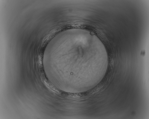 X0000114421106200911131445