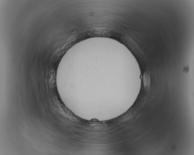 X0000114421107200911131445