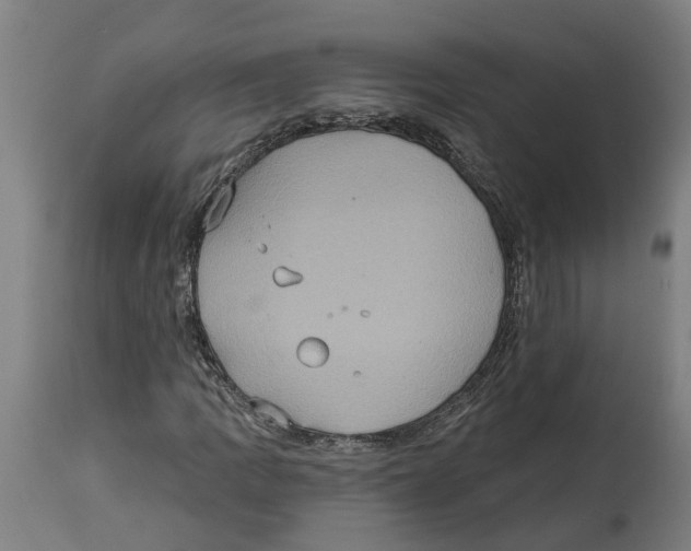 X0000114421109200911131445