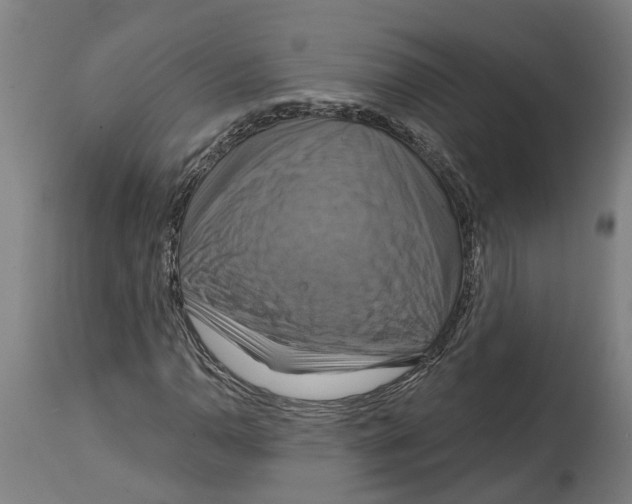 X0000114421110200911131445