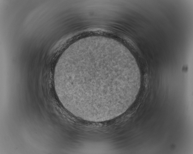 X0000114421111200911131445