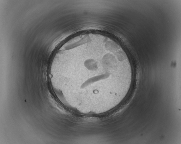 X0000114421113200911131445