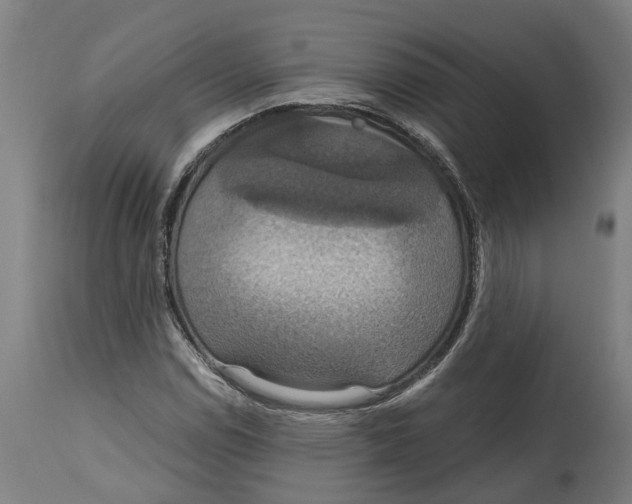 X0000114421114200911131445