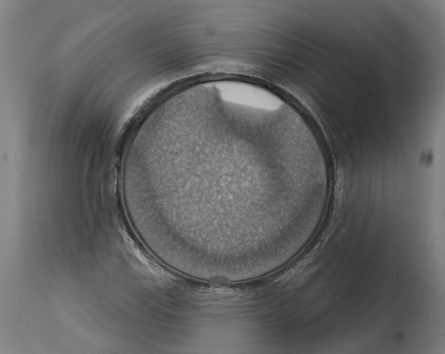 X0000114421115200911131445