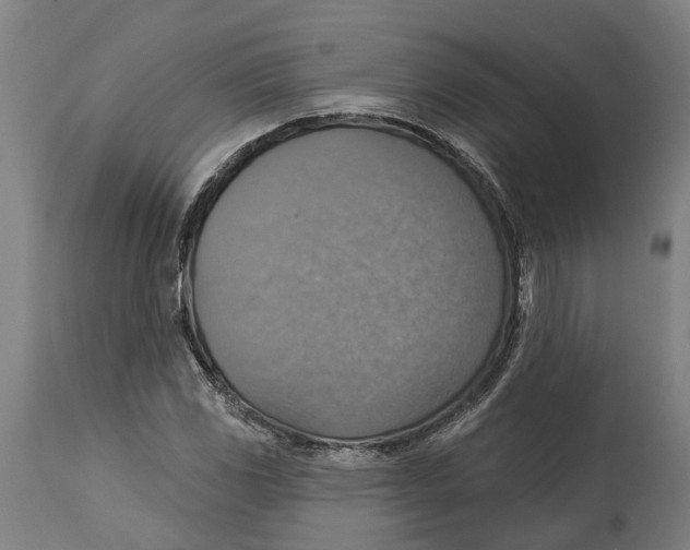 X0000114421117200911131445