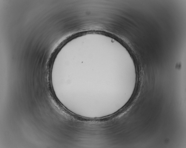 X0000114421118200911131445