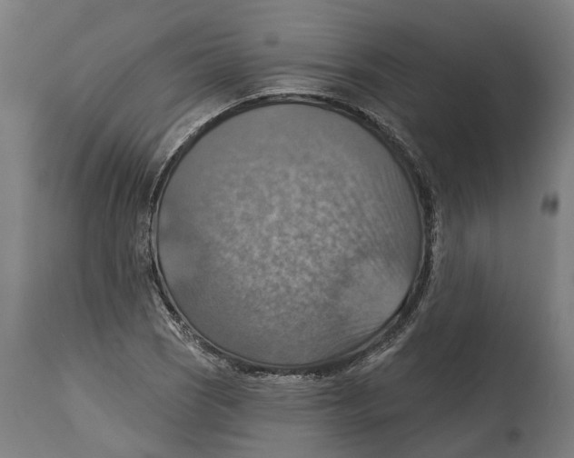 X0000114421121200911131445