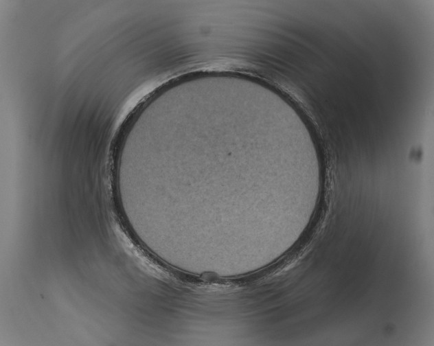 X0000114421122200911131445