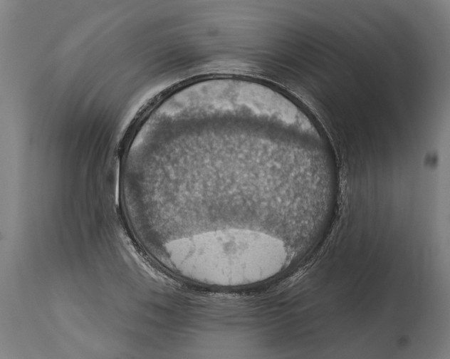 X0000114421123200911131445