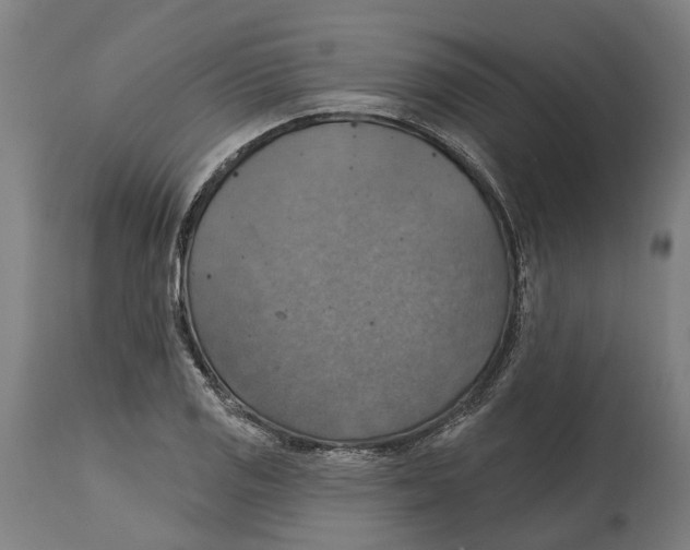 X0000114421125200911131445