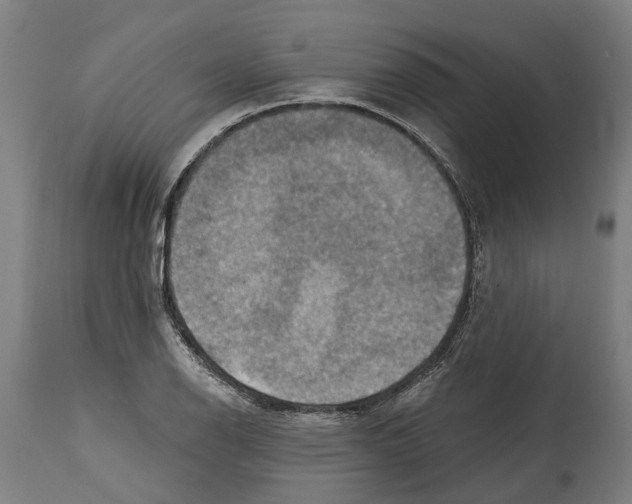 X0000114421126200911131445