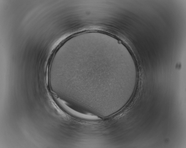 X0000114421127200911131445