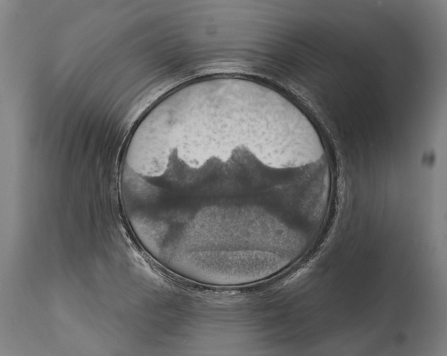 X0000114421129200911131445