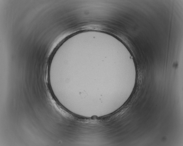 X0000114421131200911131445