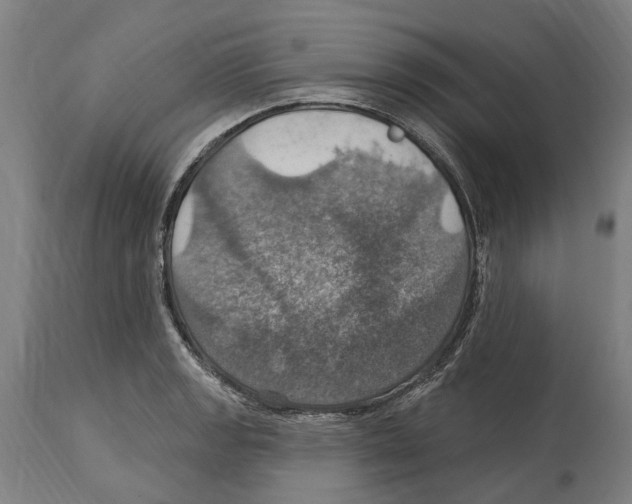 X0000114421133200911131445