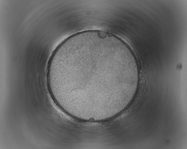 X0000114421135200911131445