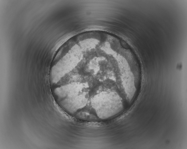 X0000114421137200911131445